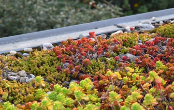 the cost of Inchs green roof installation