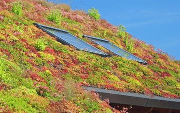 Inchs living roof systems